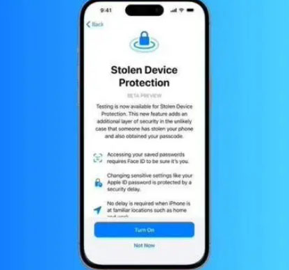 禄劝苹果授权维修店分享被盗设备保护功能开启方法 