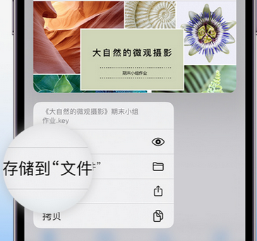 禄劝apple维修中心分享iPhone文件应用中存储和找到下载文件