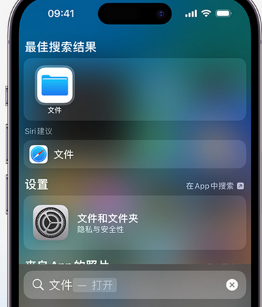 禄劝apple维修中心分享iPhone文件应用中存储和找到下载文件