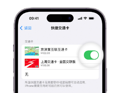 禄劝apple维修点分享iPhone上更换Apple Pay快捷交通卡手绘卡面 