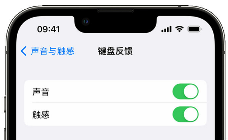 禄劝苹果手机维修分享iPhone 14触感键盘使用方法 