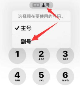 禄劝苹果14维修店分享iPhone 14 Pro Max使用副卡打电话的方法 