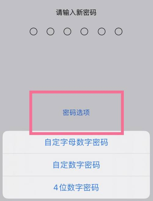 禄劝苹果14维修分享iPhone 14plus设置密码的方法 