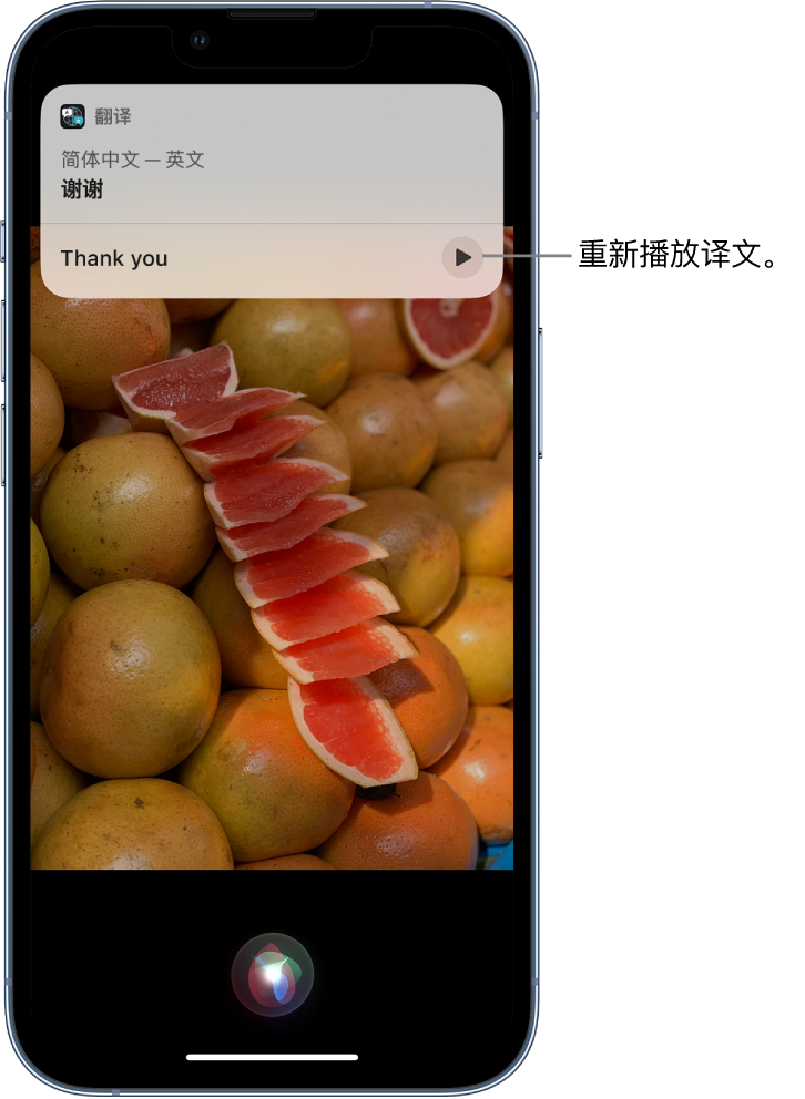 禄劝苹果14维修分享 iPhone 14 机型中使用 Siri：了解 Siri 能帮你做什么 