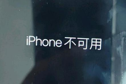 禄劝苹果服务网点分享锁屏界面显示“iPhone 不可用”如何解决 