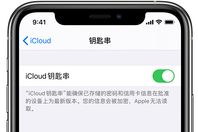 禄劝苹果手机维修分享在 iPhone 上开启 iCloud 钥匙串之后会储存哪些信息 