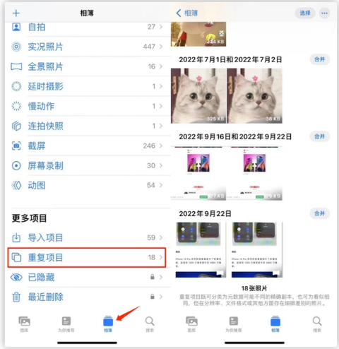 禄劝苹果手机维修分享iOS 16 中相册重复项目功能使用方法 