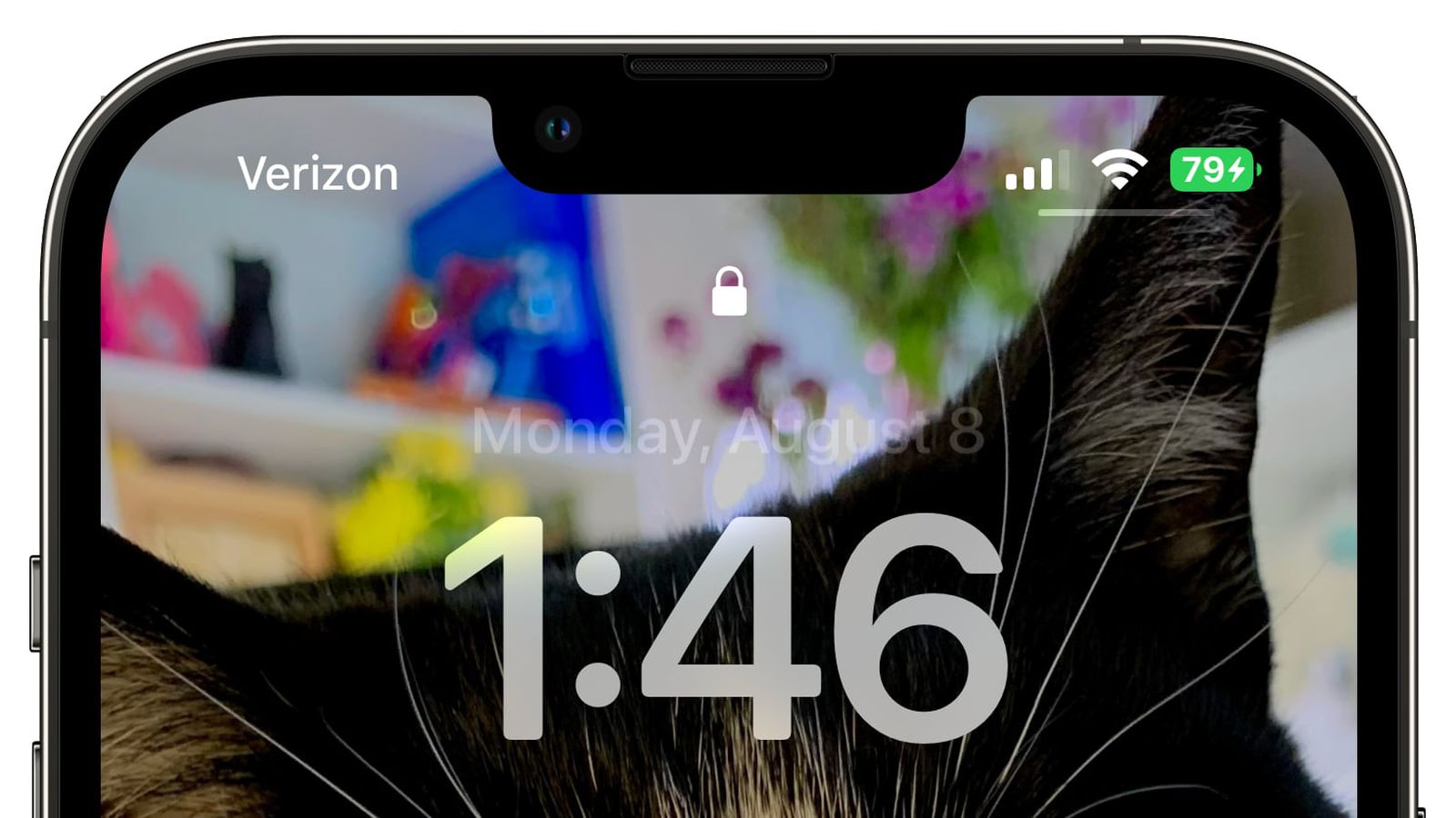 禄劝苹果手机维修分享iOS 16 beta 5 支持状态栏显示电池百分比，如何开启？支持哪些机型 