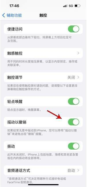 禄劝苹果手机维修分享iPhone手机如何设置摇一摇删除文字 