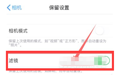 禄劝苹果13维修分享iPhone13拍照有绿点是怎么回事 