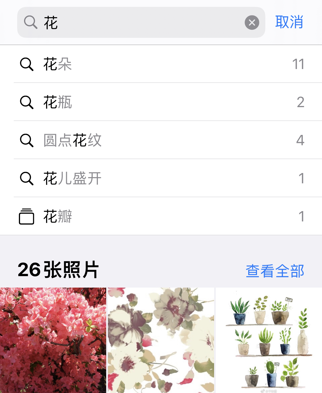 禄劝苹果手机维修分享iPhone 小技巧 